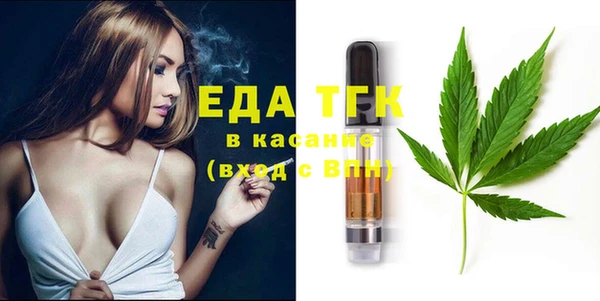 индика Алзамай