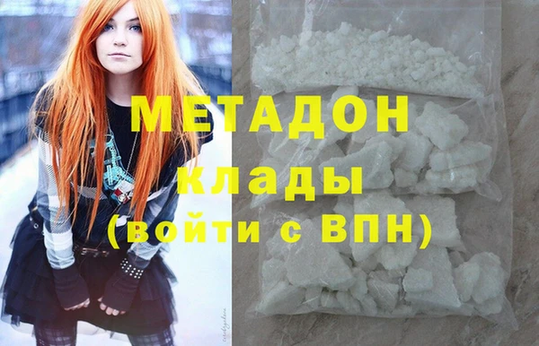 индика Алзамай