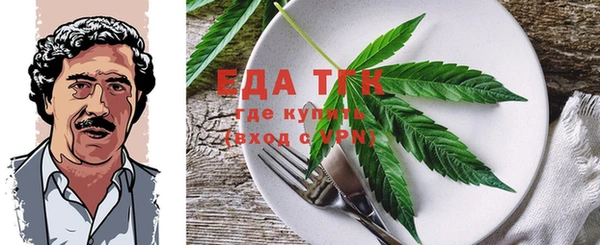 индика Алзамай