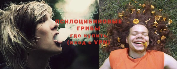 винт Алексин
