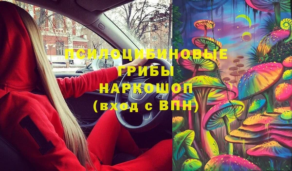 индика Алзамай