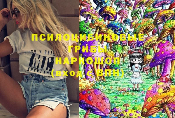 индика Алзамай