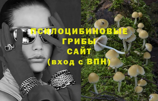 винт Алексин